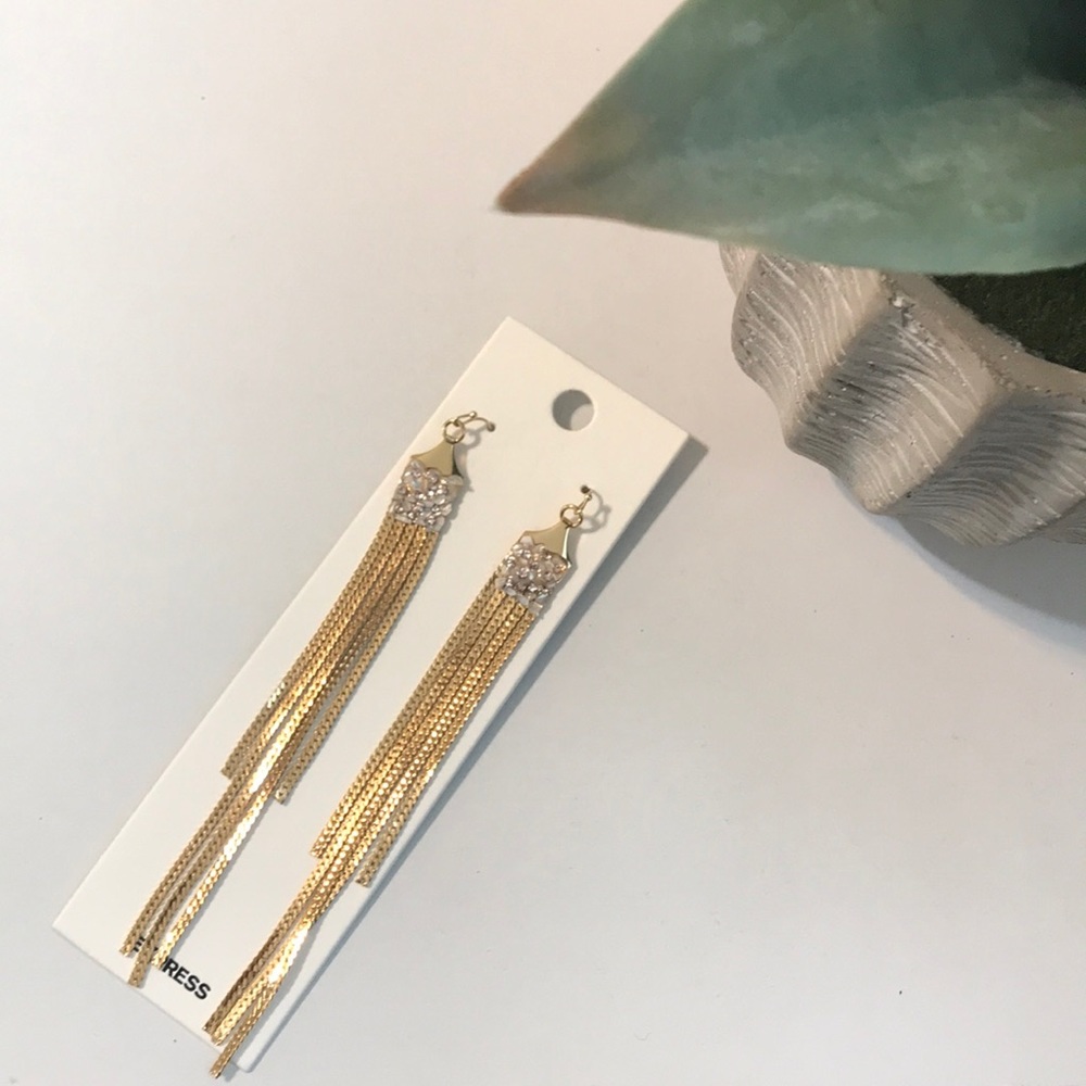 Express Long Tassel Strip Drop Earrings